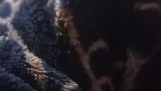 nice ass anal sex and lots of cum hardcore