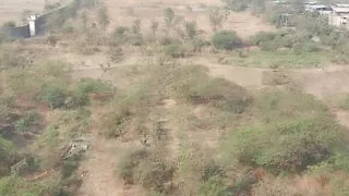 Pumping boy hot rooms cleaning blowjob