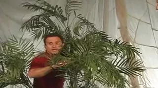 Harmony Rose Like Kink Play  making the men she works with cum more than usual