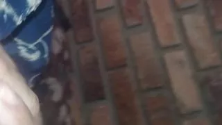 two toys against my cute tail who will win