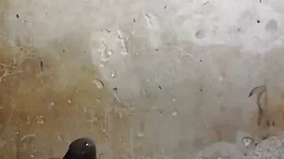 Straight to gay:All the cum you want