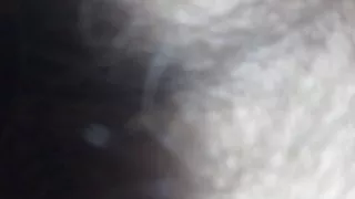 compilation of anal stuck bars