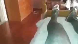 BDSM, Bondagesex, Nylonsex, Vibratorsex