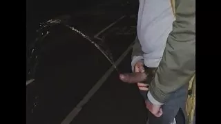 Bane pisa sa dignutom karom