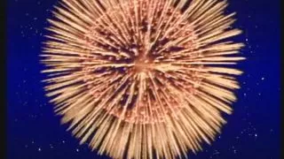 Das perfekte Anal-Ende (Full Movie)