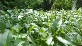 Grangbangs made in Germany - Episode 3