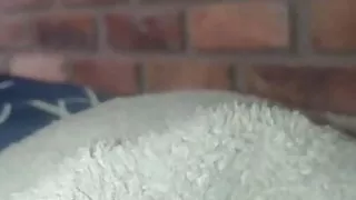 playing and masturbating very rich