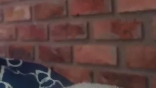 spielen und masturbieren sehr reich