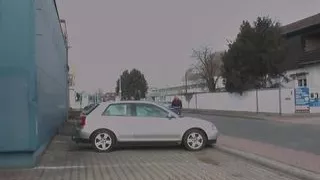 Orgasmus fur laufige Hundinnen (Full Movie)