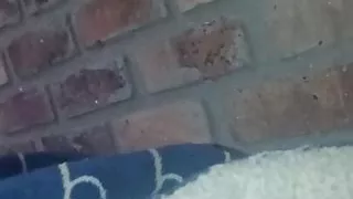 sex with lots of toys and lots of milk and anal