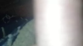 Afrikanischer Sex, Amateursex, Analsex, Kunst, Asiatisch Sex, Arsch