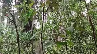 Masturbation orgasm squirt piss