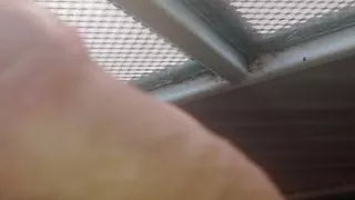 Amateursex, Analsex, Bar, Großer Schwanz, Schwarzer Sex, Crossdresser