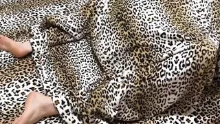 Passionate Couple Quick Fuck In Bed