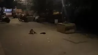 Naked outside a shop on the road