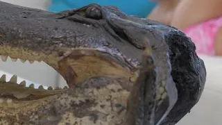 Cute Blonde Blake Eden Gets After Her Own Pussy With Her