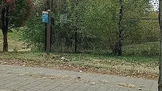 Jeff Hatton bikini public