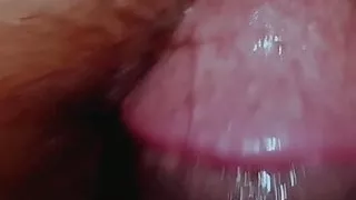 Indian wife and husband ducking inroom