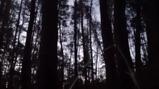 In the dark forest I fuck and cum in my girlfriend's mouth - Lesbian-illusion