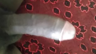 Tamilnadu black gay single