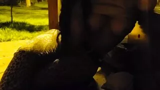 My girlfriend shows me her tits in the park