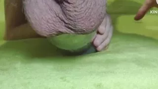 No girls no married no pussy meking hand pussy very comfortable and very easy posses and and no risk