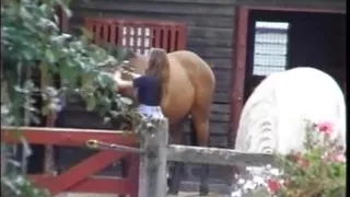 Buttman 8 (Full Movie)