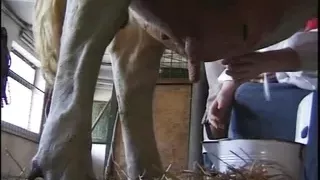 LANDSCHLAMPEN Vol.1 (Full Movie)