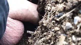 Compilation of my big uncut cock in a manure hole with a big pee filling at the end