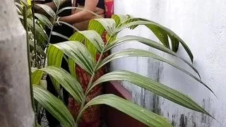 House Garden Clining Time Sex A Bengali Wife With Saree in Outdoor ( Official Video By Villagesex91)