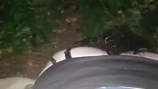 YoungEnglishBBW BBC Nata4sex outdoor doggy