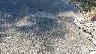 Nudo vicino una casa abbandonata