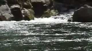 Lesbians lustily masturbating their spread asses sc 01