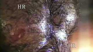 Outrageous! Pornographic videos mailed to   mom 90s #2