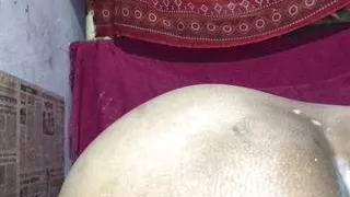 Desi stepmom hard ass fucking and 2 time cumshot