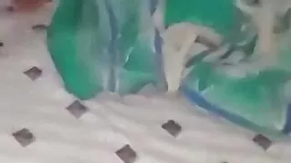 Istri pamer memek colmek pantat di sodok jari