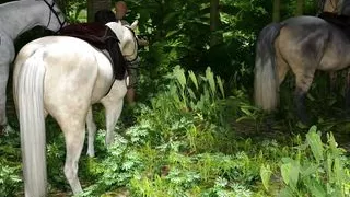 The Lust City-Horny STEPMOM UNDER MODERATION