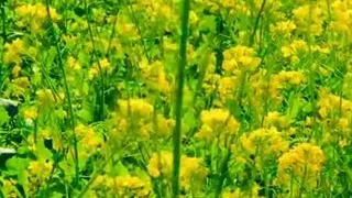 Desi Randi Booked On Road And Fucked At Home Super indian Sex With Clear Hindi Voice