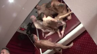 Ich Habe Ein Paar Kumpels Eingeladen Die Es Mit Meiner Frau Treiben - Privater Gangbang Am Nachmittag