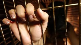 Dani Daniels A Trapped Bitch Inside A Dog Cage