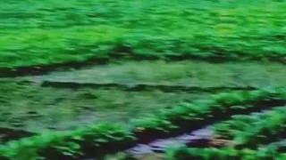 After many days my swear came to my house and he sex with me me