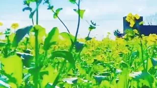 my house owner fucked me and made  with me