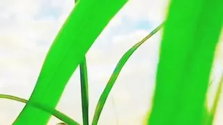 Indian actress sex with producer