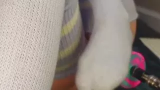 golden showers flowed out of pink young cunt from a hard fuck