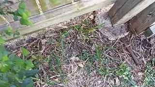 Peeing on my neighbor in public. Follow me onlyfans jarred333