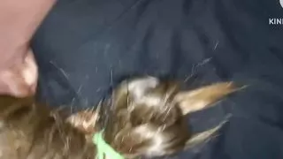 she let me fuck her hard because she wanted to make money by Nhyiraba James