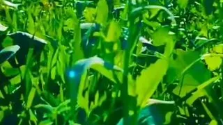 We sex hard in vilage we fucked hard pussy and anal