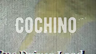 COCHINO, Geladene Löcher, spermabegeistert und auf der Suche nach mehr.