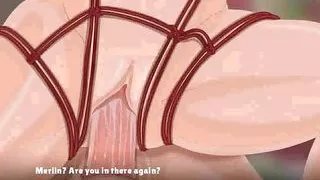 Wizards Adventures -A sex addicted