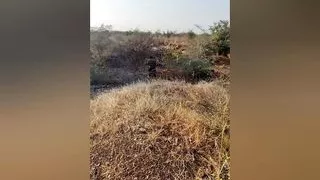 Desi aunty outdoor village sex